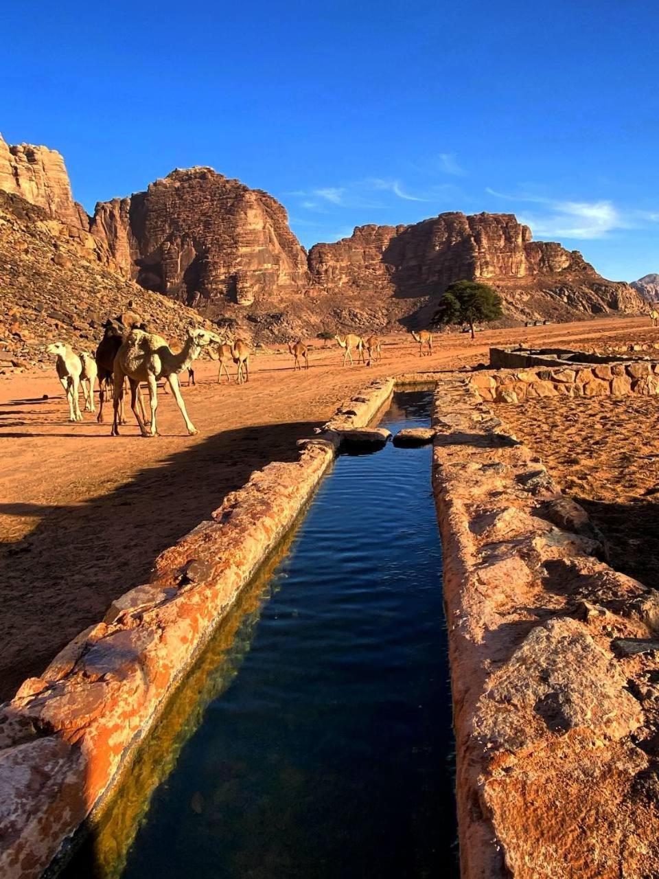 Wadi Rum Magic Nature Camp Dış mekan fotoğraf